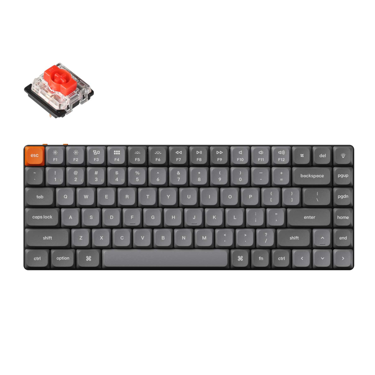 Thumbnail product image - 1