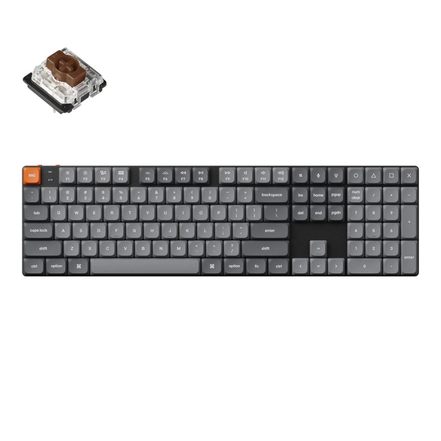 Thumbnail product image - 1