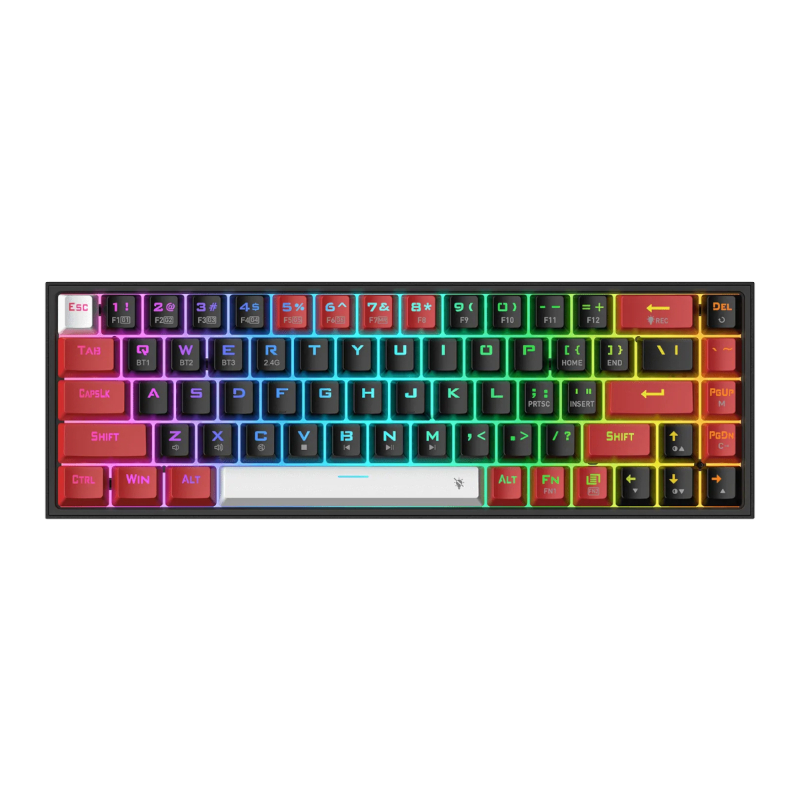 RD-K631RGB-PRO-BRW_wr_01